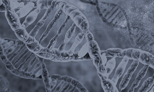 2.1 MATERIA 2. INTRODUCCIÓN A LA BIOLOGÍA MOLECULAR.  - Portada