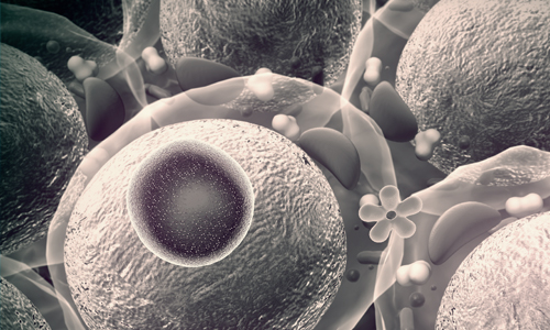 SESIÓN DE CLAUSURA: WEBINAR EN DIRECTO.